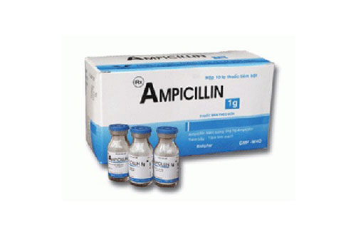 Ampicillin 1g